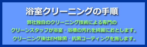 浴室のクリーニング 浴室のクリーニング