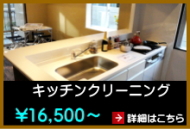キッチンクリーニング キッチンクリーニング