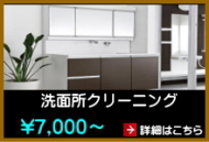 洗面所クリーニング 洗面所クリーニング