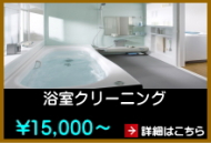 浴室クリーニング 浴室クリーニング